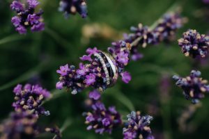 nase svatba_male574